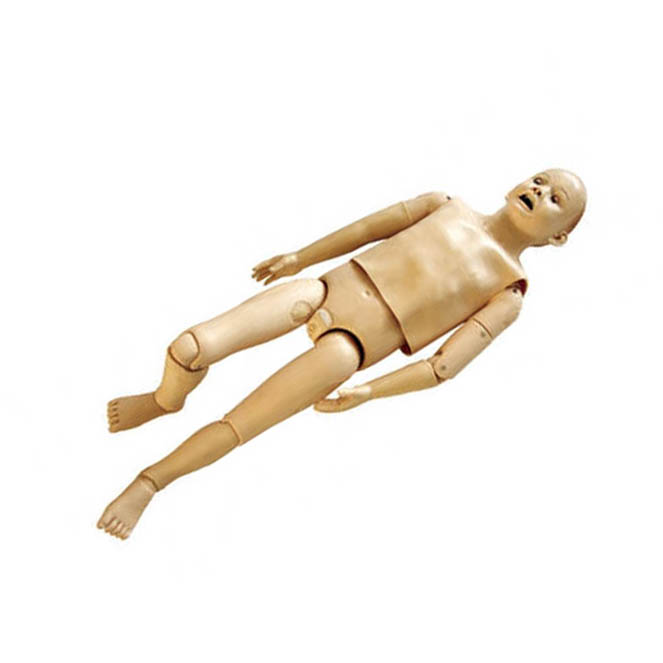 Child Auscultation Manikin