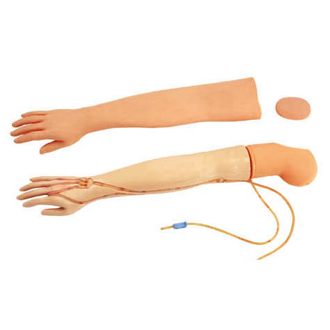 MultiFunctional IV Training Arm