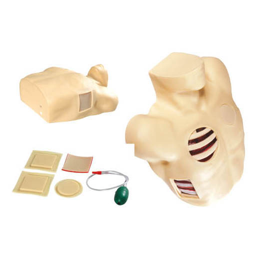 Pleural Drainage Simulator